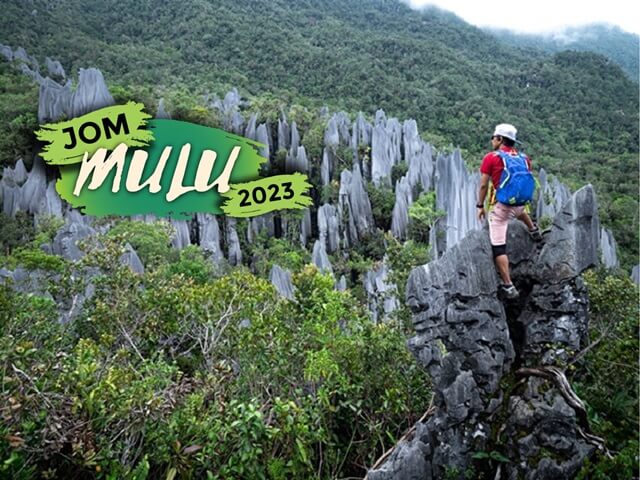 4D3N Jom Mulu Pinnacles 2023