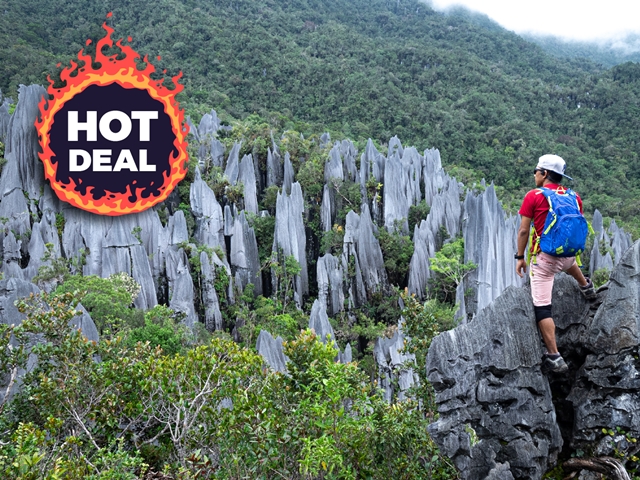 Tropical Adventure Tours & Travel Sdn. Bhd. photo 2
