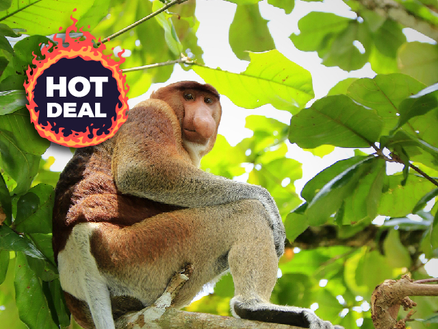Tropical Adventure Tours & Travel Sdn. Bhd. photo 3