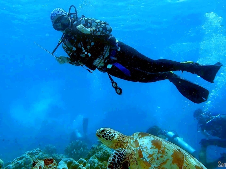 Fun Dive Route C (Bohey Dulang, Mantabuan & Sibuan) - License