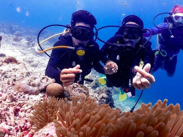 Fun Dive Route A (Mabul & Kapalai) - License